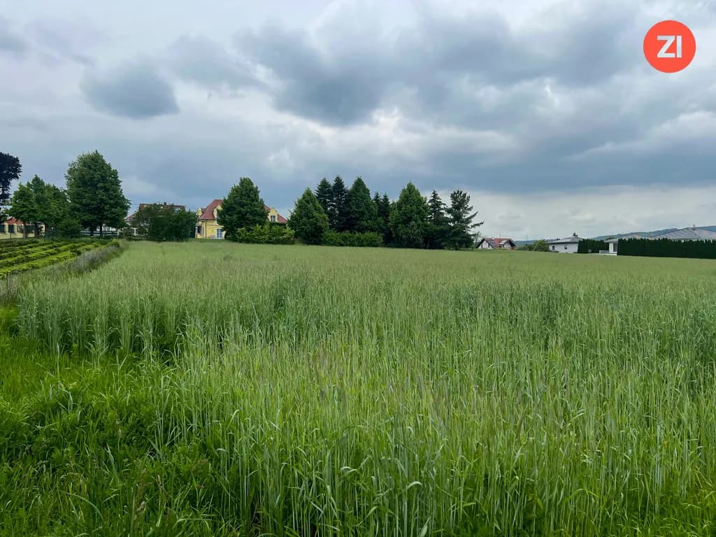 Traumhaftes Baugrundstück in zentraler Paschinger Aussichtslage - Bild 1