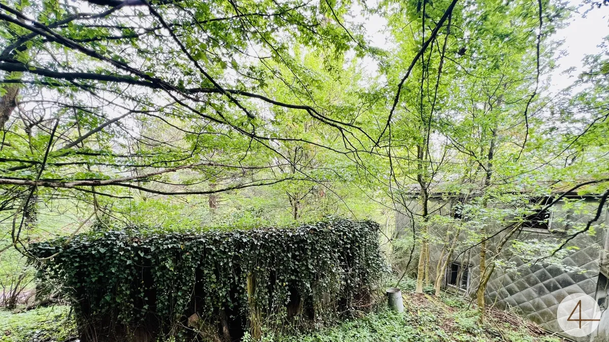 Baugrundstück in herrlicher Ruhelage - vor den Toren Wiens - grüner Weitblick übers Tal - gut bebaubar - Bild 1