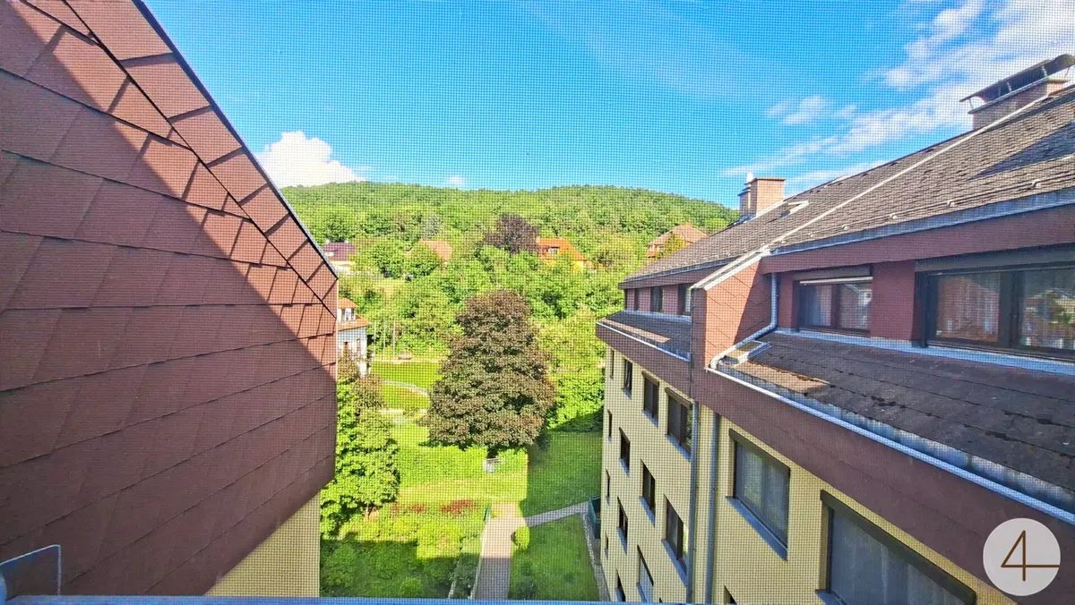 Dachgeschoßwohnung in absoluter Ruhelage - Bild 1