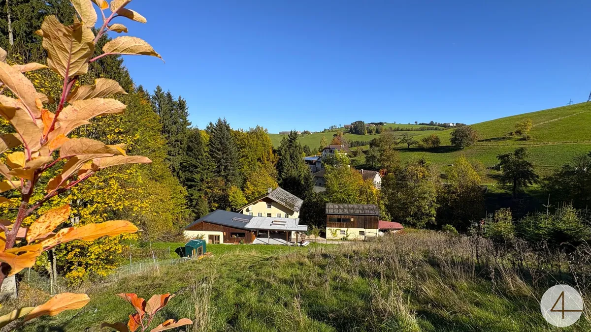 Alleinruhelage! Wohlfühloase im Wald! - Bild 1